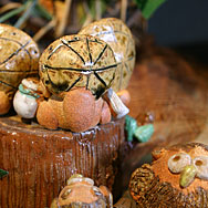 小たぬき[オス]