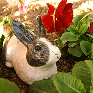 白黒ウサギ[おすわり]