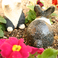 白黒ウサギ[おすわり]