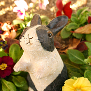 白黒ウサギ[立ち]