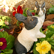 白黒ウサギ[立ち]